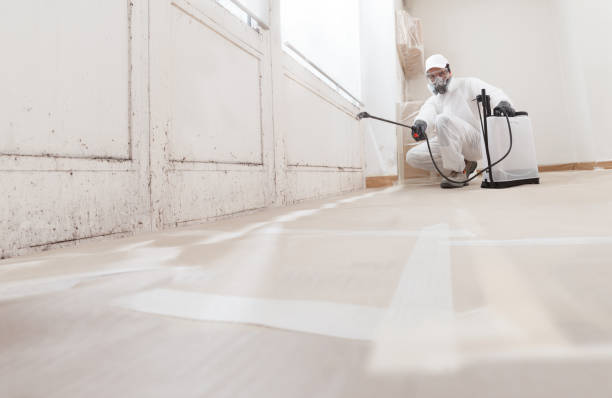 24/7 Emergency Mold Testing experts in Paramus, NJ
