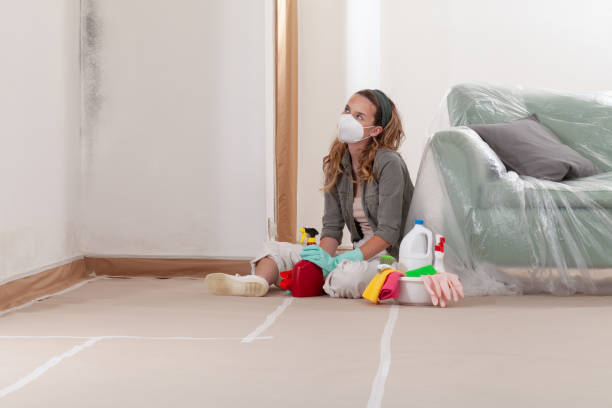 Reliable Mold Remediation contractor in Paramus, NJ by Cheap Mold Removal
